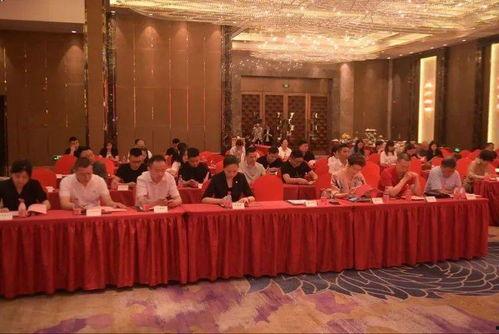 欧美乱码精区二区三区,揭秘成人影视产业的秘密角落