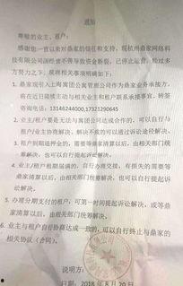 国产第1页浮力影院,揭秘热门影视资源汇聚地